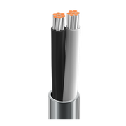 Belden 8461 18 AWG stranded tinned copper 1-pair unshielded cable with chrome PVC jacket, 1000 feet spool, used for audio, control, and instrumentation wiring.