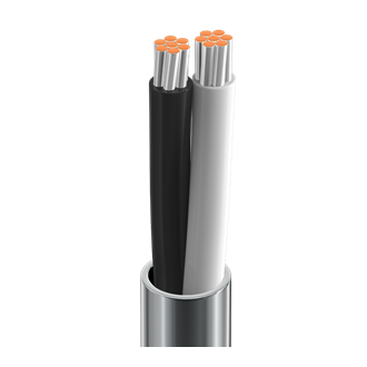 Belden 8461 18 AWG stranded tinned copper 1-pair unshielded cable with chrome PVC jacket, 1000 feet spool, used for audio, control, and instrumentation wiring.