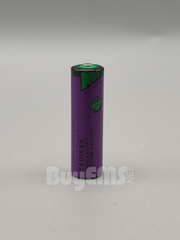 ETC-5104 3.6V Lithium Memory Battery for E2 Controller, AA size for long-lasting power backup and secure memory retention.